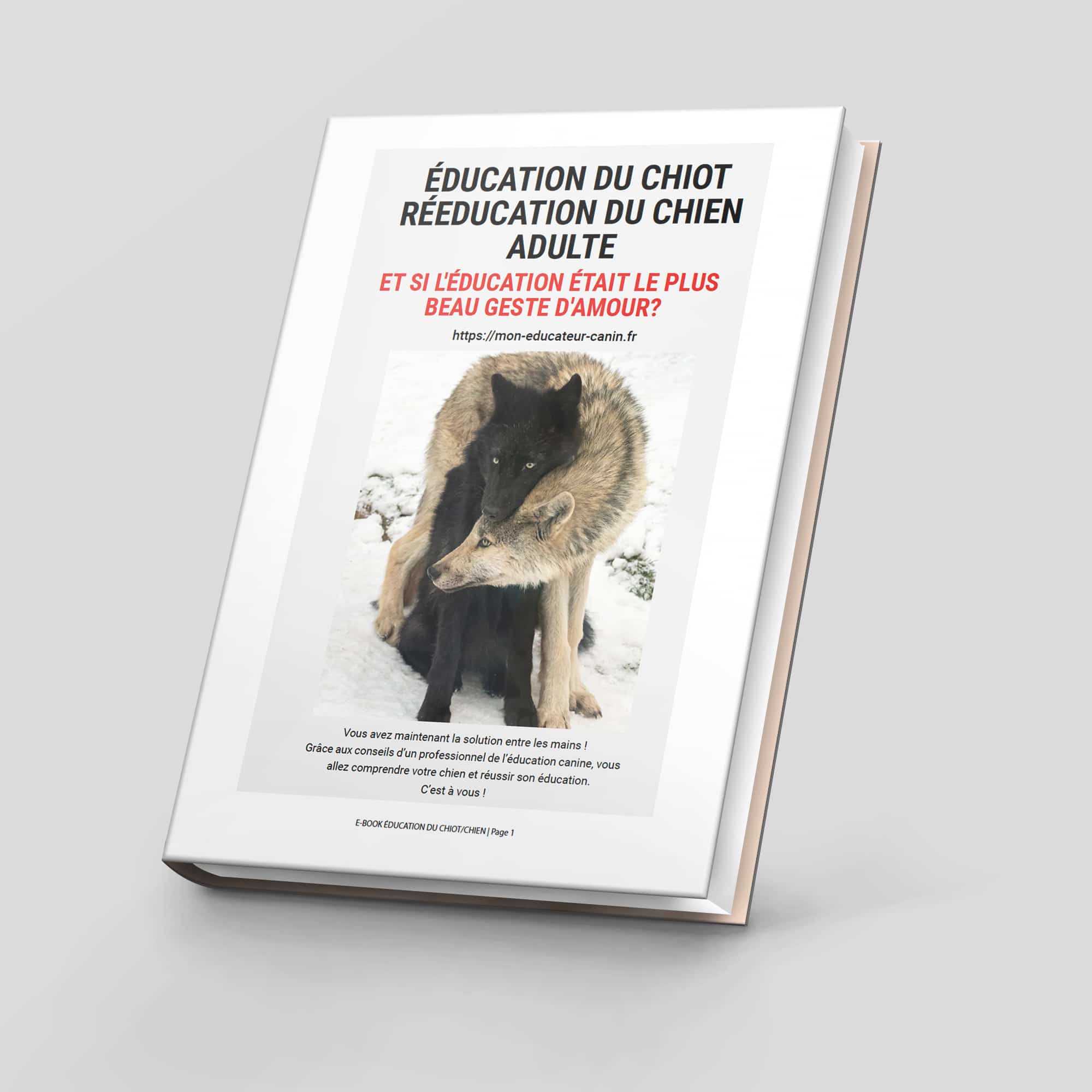 E-Book Éducation du chiot / Rééducation du chien